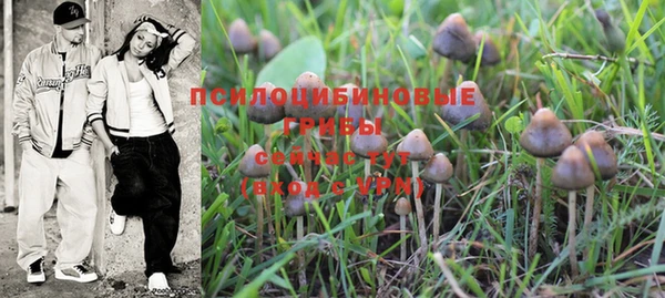 героин Вяземский