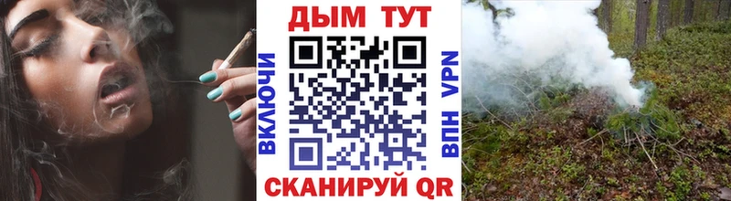купить сайты Химки Бошки Шишки OG Kush